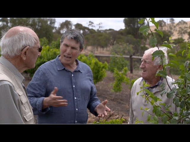 Neutrog TV | Pruning Fruit Trees in Summer + The Rare Fruit Aboretum