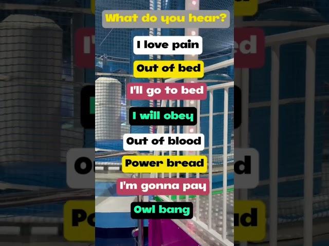 What do you hear -3? #shortsfeed #shorts #viral