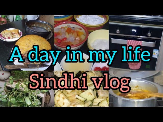 A day in my life /my daily routine 🫕🪴/sindhi vlog 