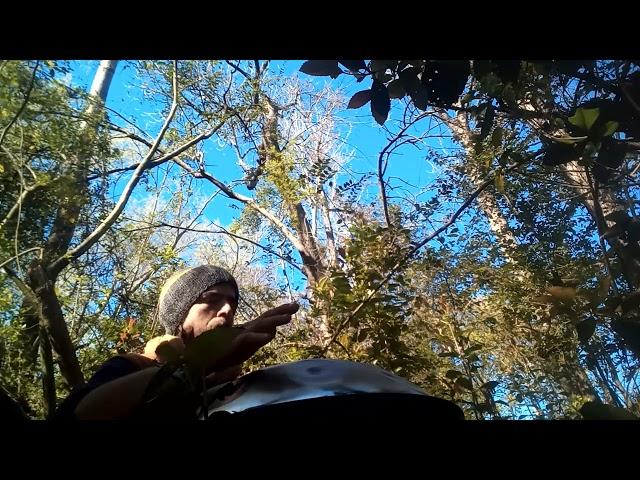 expresión 2 #nature #meditation #relaxing #handpan