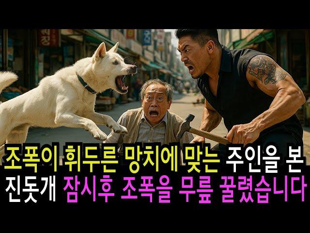 조폭이 휘두른 망치에 맞는 할아버지를 본 진돗개는 잠시후 조폭을 무릎 꿀렸습니다 감동 실화 사연 오디오북