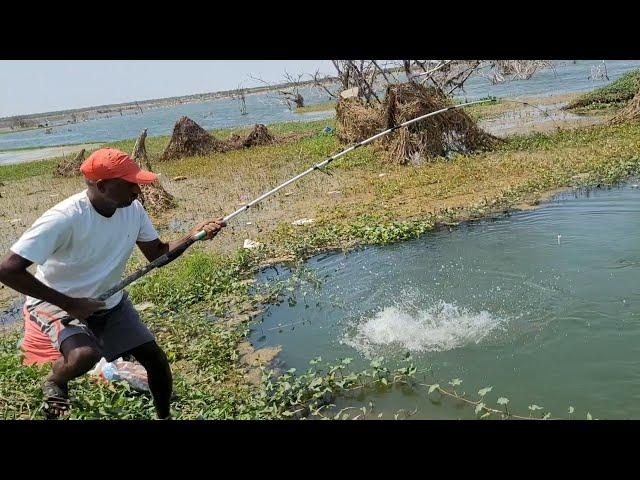 Big Fishes hunting & Catching by Professional Fisherman|Unbelievable Hook fishing video