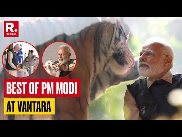 PM Modi At Vantara: Top Moments Of PM's Close Encounter With Wildlife