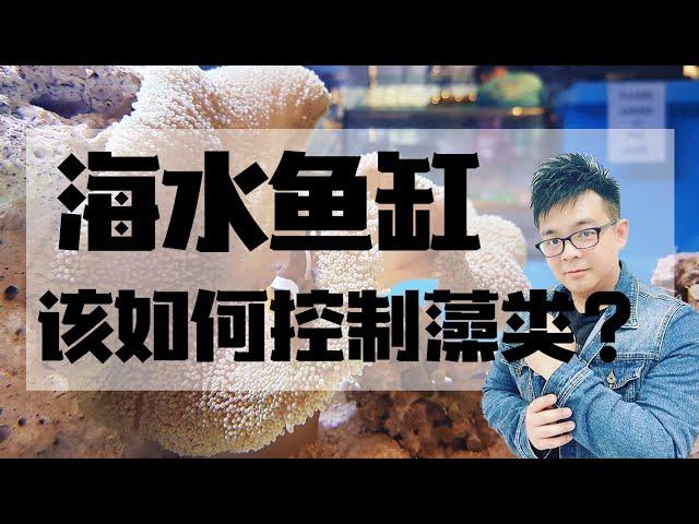 海水鱼缸该如何控制藻类   |  【小马说水族】