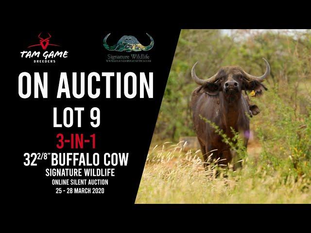 TAM Game Breeders | Signature Wildlife | Lot 9