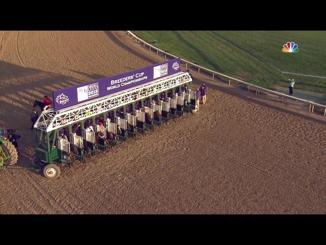 2018 Breeders' Cup Classic - Accelerate