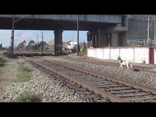 Live Accident Train Hits Goat At High Speed