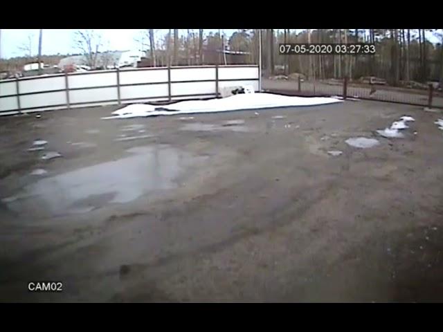 ВНИМАНИЕРОЗЫСК СВИДЕТЕЛЯ