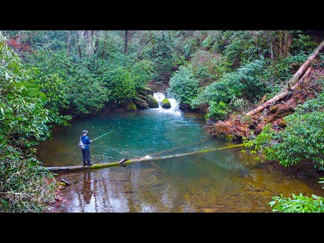 Fishing the most BEAUTIFUL Trout Water on Earth!! (Streamer Fishing)