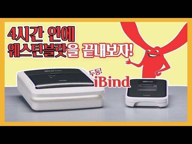 iBind : 4시간 안에 웨스턴블랏을 끝내보자!