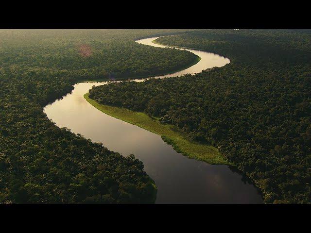 Why Protecting the Congo Basin Matters | Bezos Earth Fund