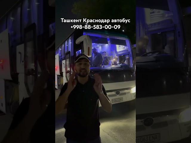 Ташкент Краснодар Волгоград автобус ￼