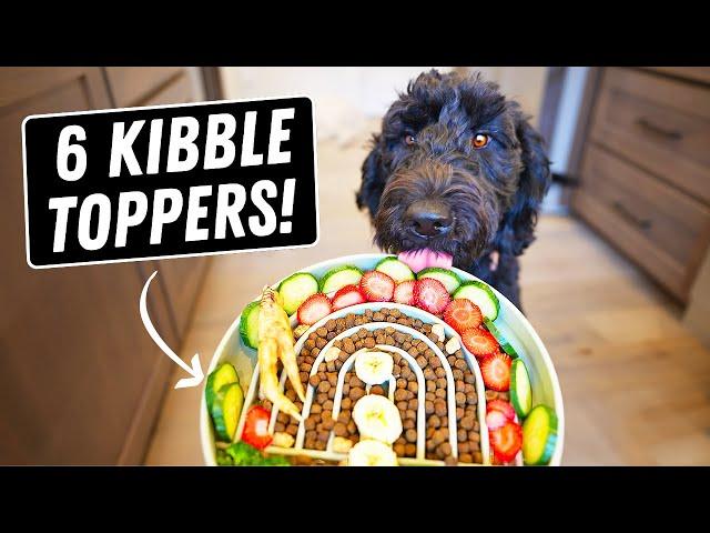 Human Foods Dogs SHOULD Eat  6 Best Kibble Toppers