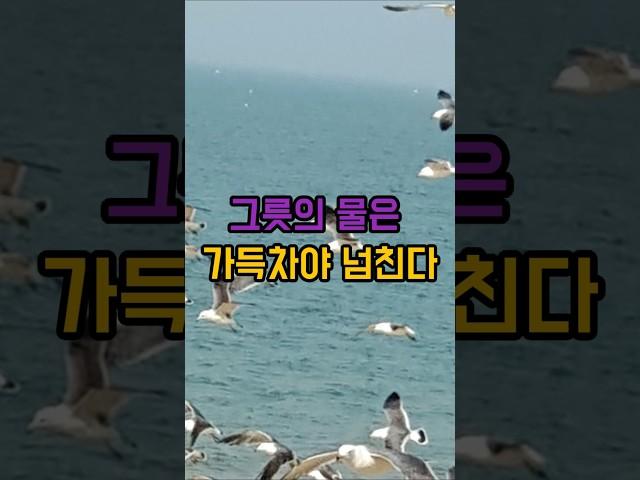 그릇의 물은 가득차야 넘친다
