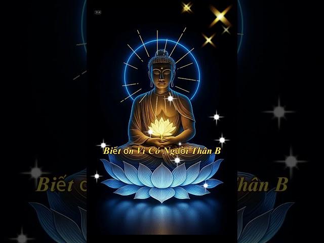 Thực Hành Lòng Biết Ơn Mỗi Ngày – Chữa Lành Tâm Hồn