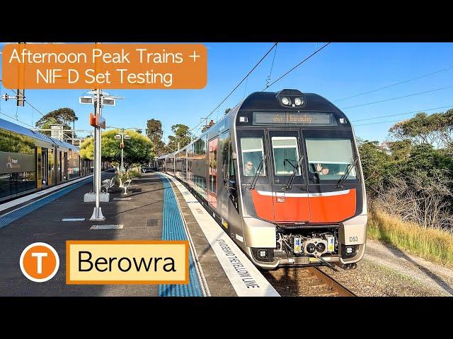 Transport for Sydney Vlog 904: Berowra Part 3 - Afternoon Peak Trains + NIF D Set Testing