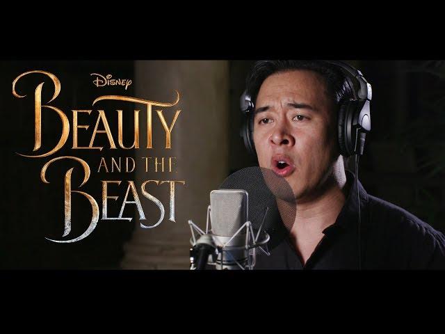 EVERMORE - Beauty and the Beast - Josh Groban (DTSings Cover)