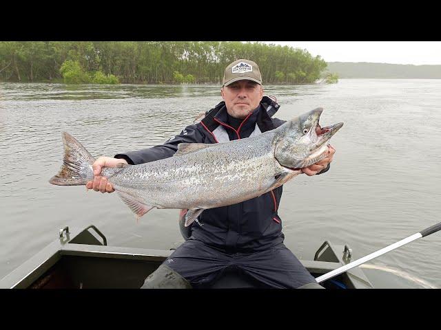 КАМЧАТКА, РЫБАЛКА, ЧАВЫЧА И ШАМПАНСКОЕ. King salmon fishing