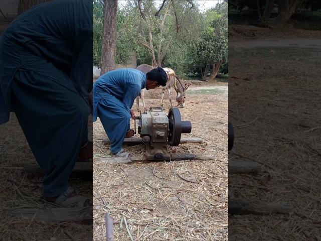 @Peter Diesel engine start #short #video