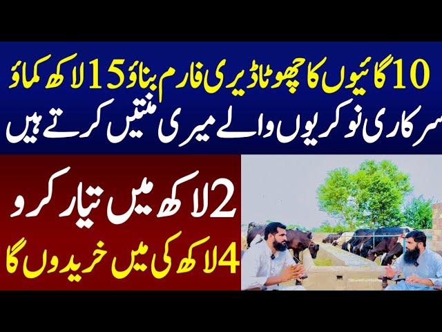 How to start Small Dairy Farm with 10 small cows In pakistan