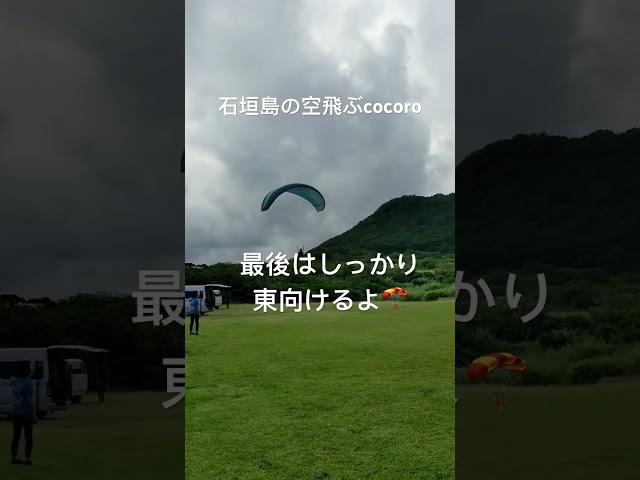 石垣島の空飛ぶ小学生cocoroの0mランディング〜東風〜