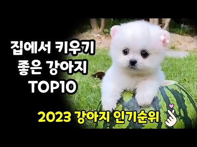 Top 10 Dog Breeds