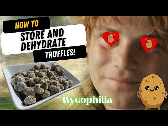 Best Long-Term Truffle Storage and Dehydration Method