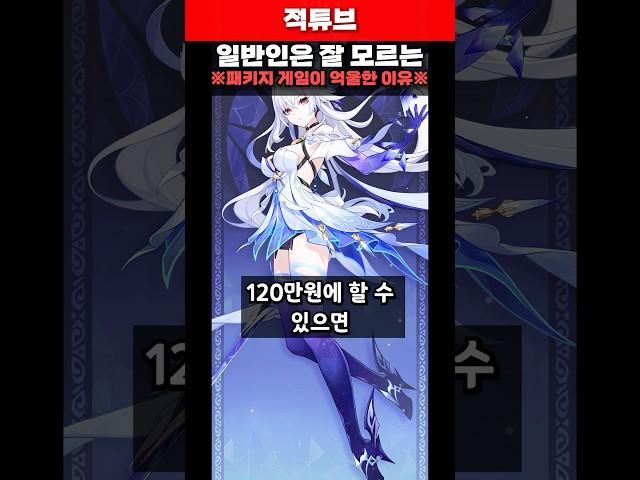 일반인은 잘 모르는 패키지 게임이 억울한 이유