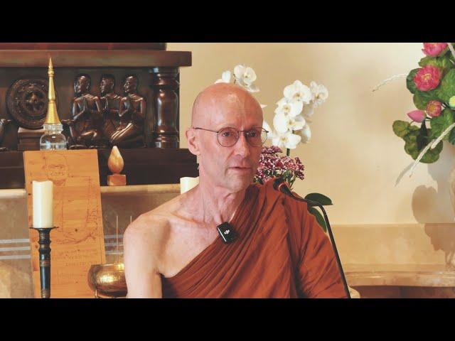 Ajahn Chandapalo -Sessione di Dhamma Domande e Risposte [ Domenica 29 Settembre 2024 ]