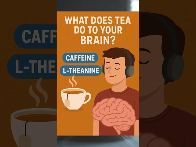 What Tea Really Does to Your Brain  | Science of Focus & Calm #shorts  #didyouknow