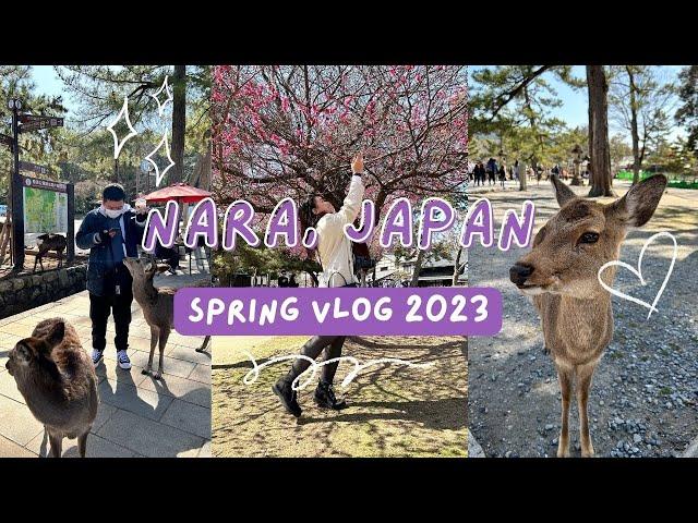 Nara, Japan | Half-day Itinerary | Travel Vlog