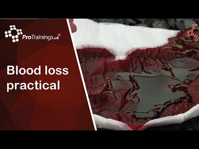 Blood loss practical - how do you se how much blood has been lost?