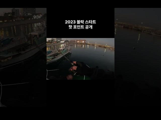 포항 볼락 낚시 핫 포인트 공개!  입문 채비 장비  #fishing #방파제낚시 #볼락루어 #볼락낚시 #볼락포인트 #포항
