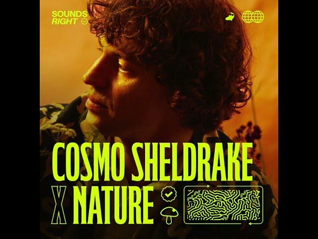 Cosmo Sheldrake - Soil ft. Nature