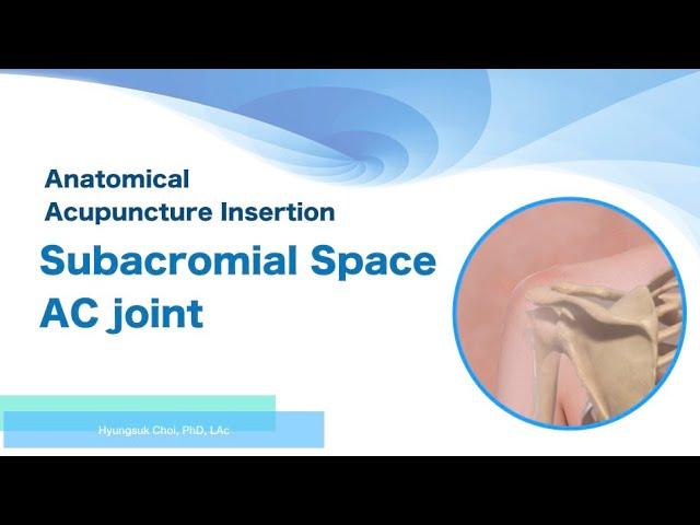 Anatomical Acupuncture insertion: Subacromial space, under AC joint, LI15