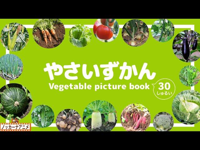 【やさい図鑑】畑の新鮮な野菜がずらり30種！知育アニメ【赤ちゃん・子供向け】Vegetable  picture book for kids