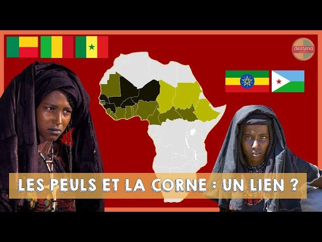 HORS-SERIE : Les Peuls et les Afars (Ethiopie) - Un lien ?