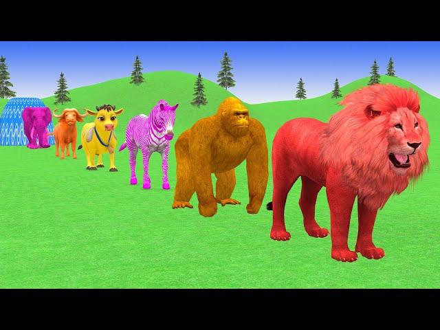 Paint & Animals Duck, Cow, Dog, Buffalo, Zebra Fountain Crossing Transformation Animal Games