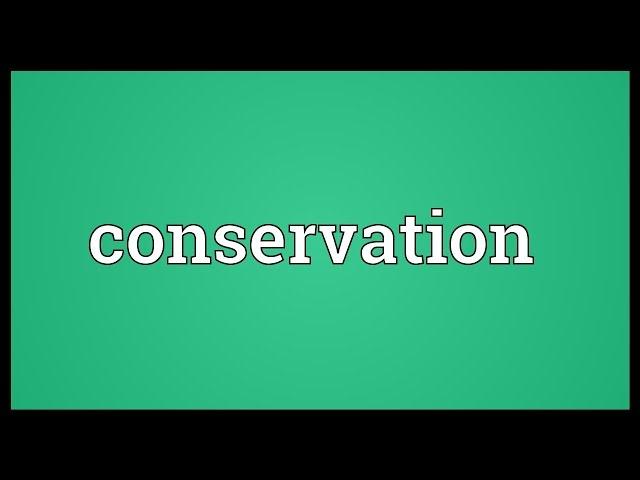 Conservation Meaning