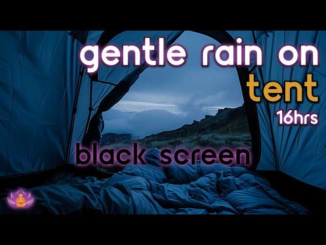 [Black Screen] Gentle Rain on Tent No Thunder | Rain Ambience | Rain Sounds for Sleeping