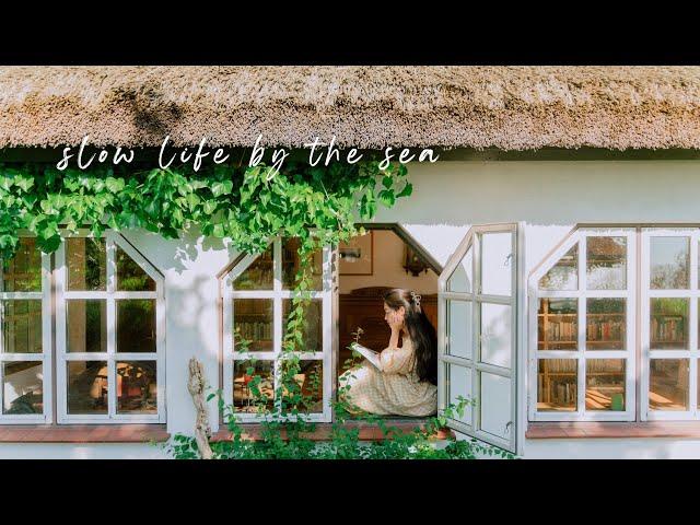 #147 Hiddensee: Slow living in a town with an ocean view like a Ghibli film