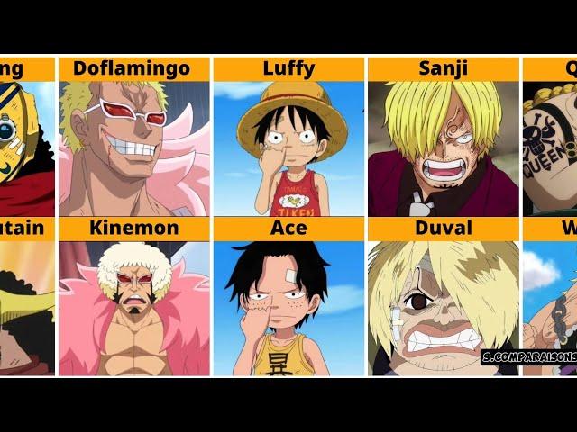 One Piece Characters That Look Identical