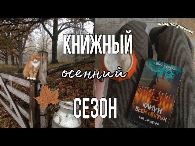 как читать больше + подборка книг с рецензией