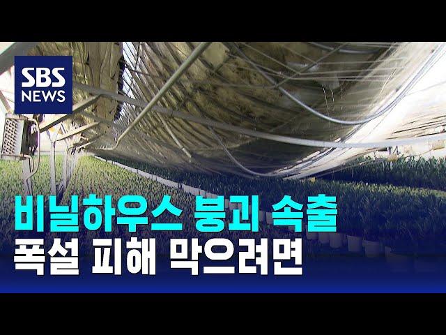 비닐하우스 붕괴 속출…폭설 피해 막으려면 / SBS