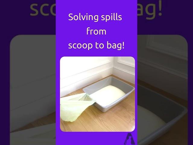 Scoop Buddy — Your new litter box hack! #shorts #shortvideo