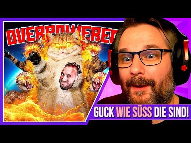 Katzen sind MASCHINEN! - Gronkh Reaction