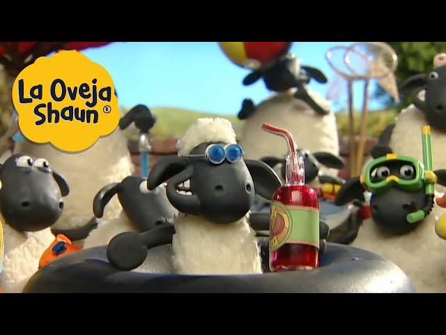 La Oveja Shaun  Fiesta de piscina  Dibujos animados para niños