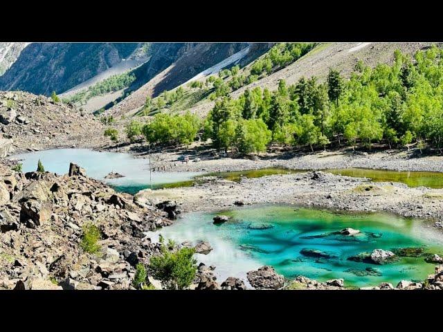 naltar valley | naltar valley road | blue lake naltar valley gilgit baltistan | Naveed Ahmad