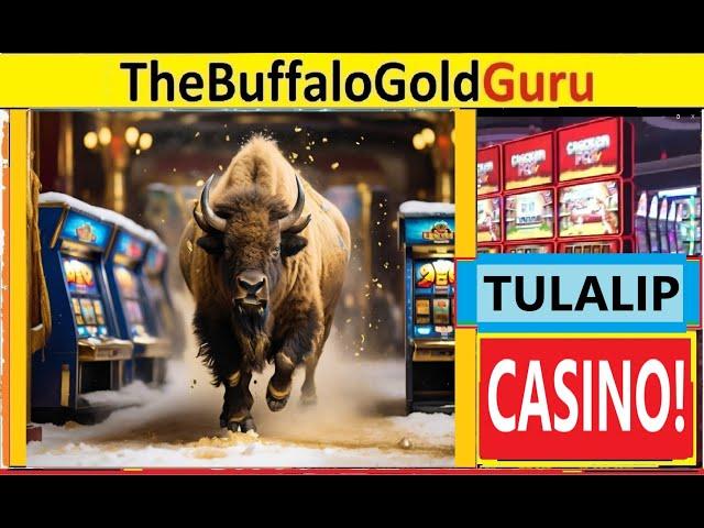 BUFFALO GOLD Bonuses and TWO FLASHBACK JACKPOTS!