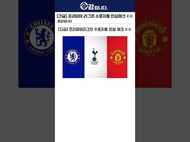 [긴급] EPL 수호자들 민심 체크